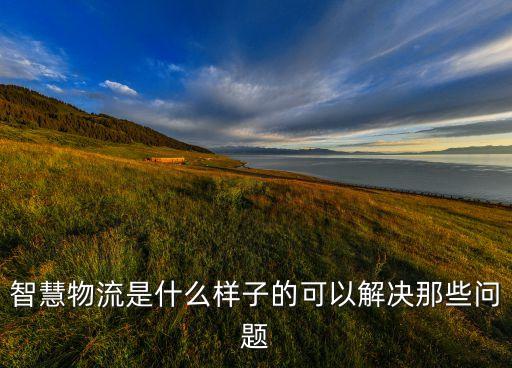 智慧物流，什么是智慧物流