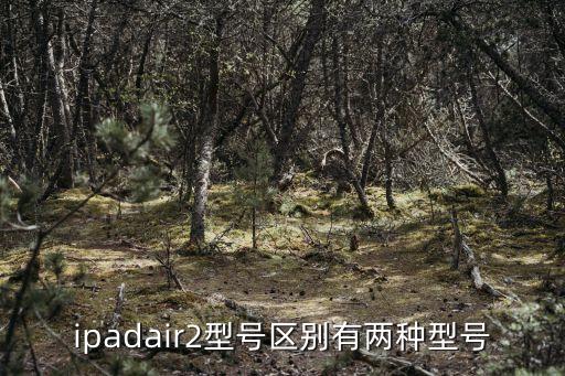 蘋果air2,4、air系列蘋果2.2.3.2