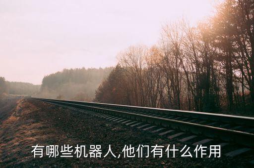 有哪些機(jī)器人,他們有什么作用