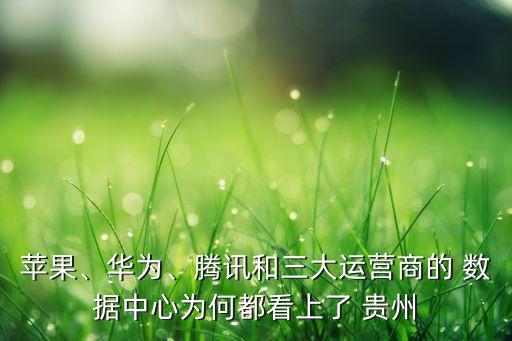 蘋果、華為、騰訊和三大運營商的 數(shù)據(jù)中心為何都看上了 貴州