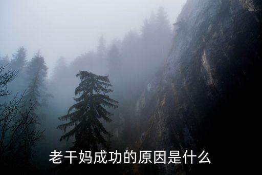 老干媽成功的原因是什么
