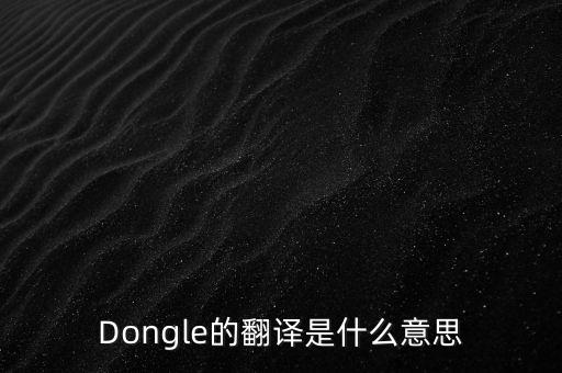 Dongle的翻譯是什么意思