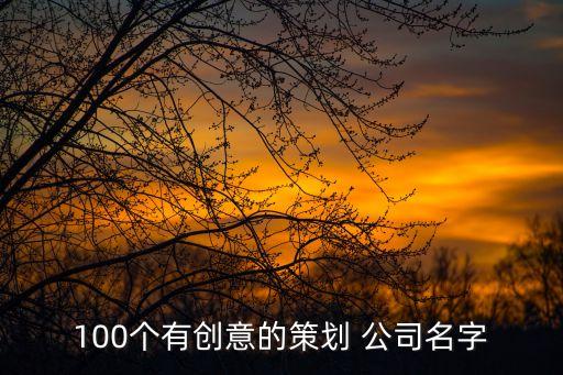 100個有創(chuàng)意的策劃 公司名字
