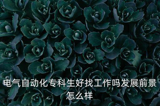 電氣自動化?？粕谜夜ぷ鲉岚l(fā)展前景怎么樣