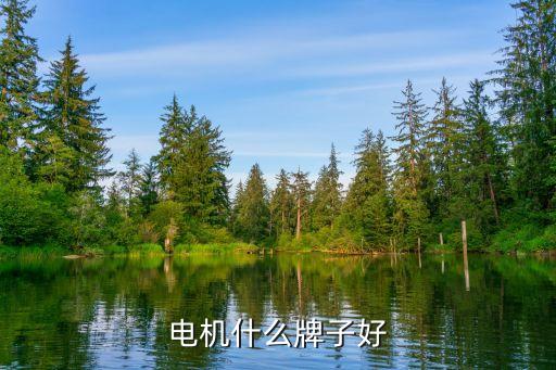 電機什么牌子好