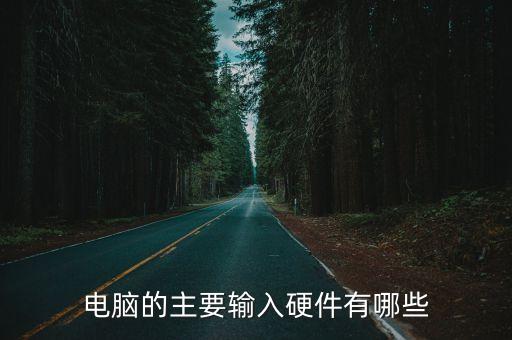 電腦的主要輸入硬件有哪些