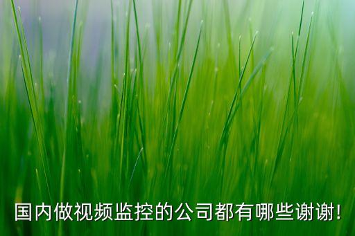 國(guó)內(nèi)做視頻監(jiān)控的公司都有哪些謝謝!
