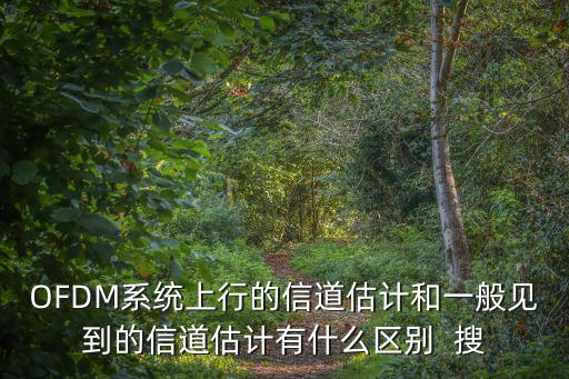 信道估計(jì)，信道估計(jì)的信道估計(jì)的定義