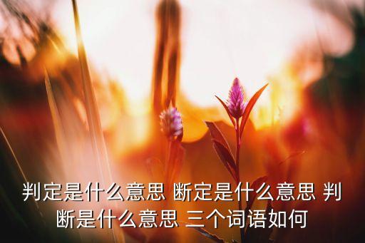 判定是什么意思 斷定是什么意思 判斷是什么意思 三個詞語如何