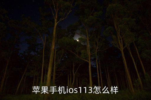 蘋果手機ios113怎么樣