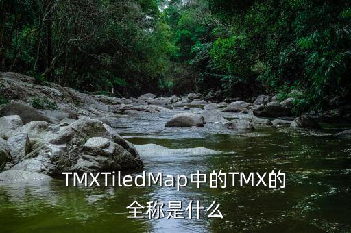 tmx，TMX 什么意思