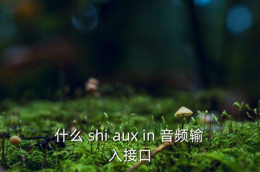 音頻輸入接口，電腦音頻接口類型有哪些