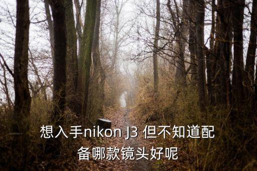 想入手nikon J3 但不知道配備哪款鏡頭好呢