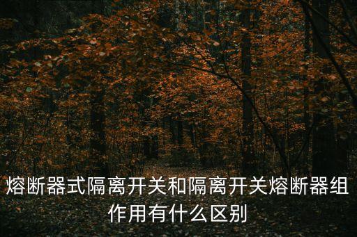 熔斷器式隔離開關(guān)和隔離開關(guān)熔斷器組作用有什么區(qū)別