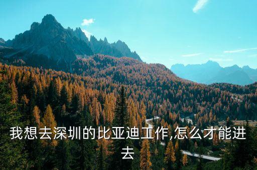 我想去深圳的比亞迪工作,怎么才能進去