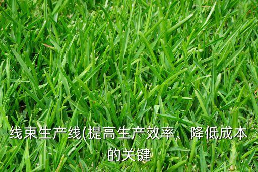 線束生產(chǎn)線(提高生產(chǎn)效率、降低成本的關(guān)鍵