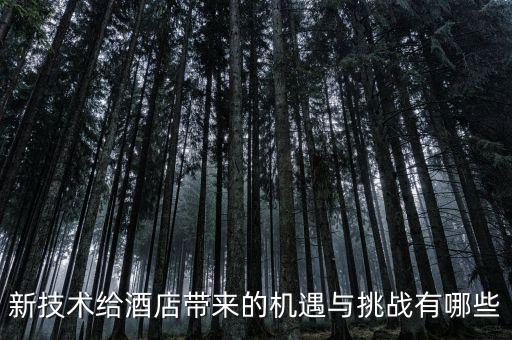 新技術(shù)給酒店帶來的機(jī)遇與挑戰(zhàn)有哪些
