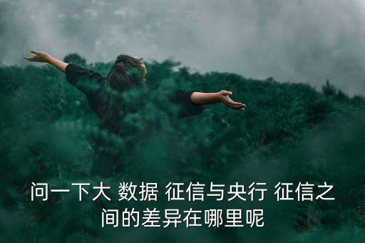 問一下大 數(shù)據(jù) 征信與央行 征信之間的差異在哪里呢