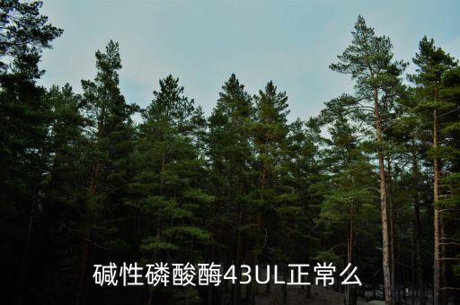 43u，丙氨酸氨基轉(zhuǎn)移酶43ul屬于正常嗎