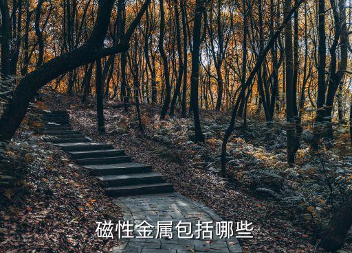 磁性金屬包括哪些
