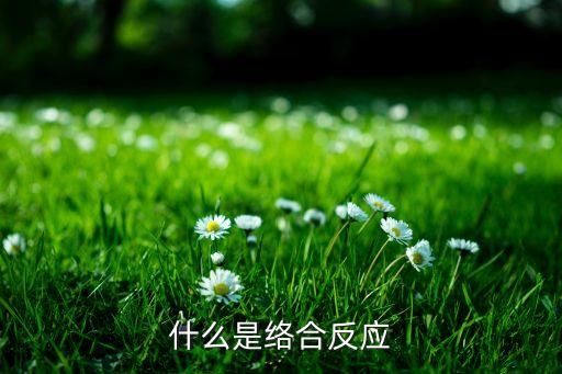 什么是絡(luò)合反應(yīng)