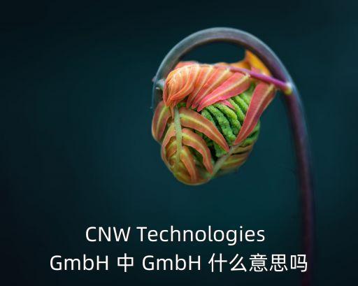 CNW Technologies GmbH 中 GmbH 什么意思嗎