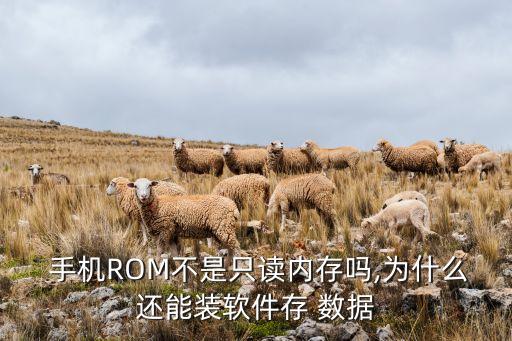 手機rom還可以寫入數(shù)據(jù),為什么手機rom可以寫入