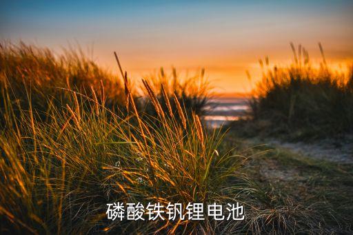磷酸鐵釩鋰電池