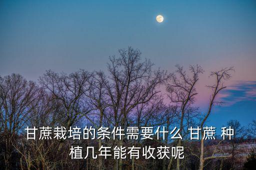  甘蔗栽培的條件需要什么 甘蔗 種植幾年能有收獲呢