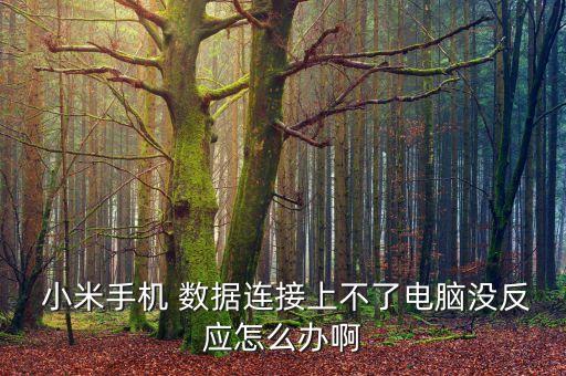 小米手機(jī) 數(shù)據(jù)連接上不了電腦沒(méi)反應(yīng)怎么辦啊