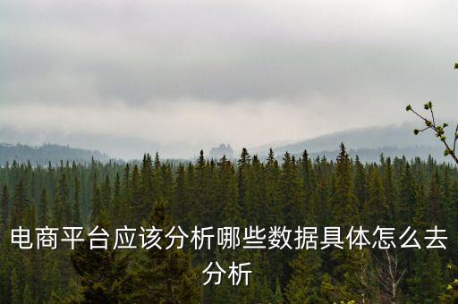 電商平臺應該分析哪些數(shù)據(jù)具體怎么去分析