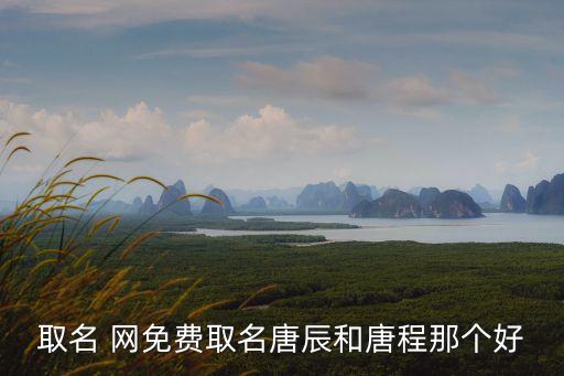 取名 網(wǎng)免費(fèi)取名唐辰和唐程那個(gè)好