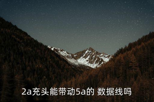 2a充頭能帶動(dòng)5a的 數(shù)據(jù)線嗎
