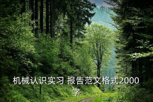 機(jī)械認(rèn)識(shí)實(shí)習(xí) 報(bào)告范文格式2000字