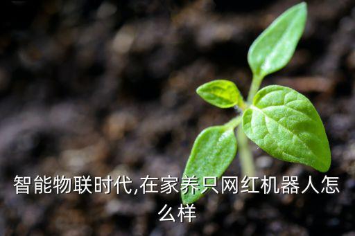 智能物聯(lián)時代,在家養(yǎng)只網(wǎng)紅機(jī)器人怎么樣