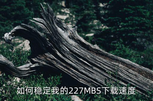 如何穩(wěn)定我的227MBS下載速度