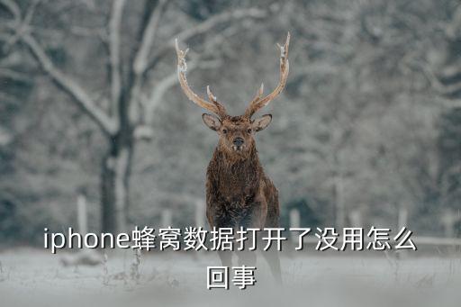 iphone蜂窩數(shù)據(jù)打開(kāi)了沒(méi)用怎么回事