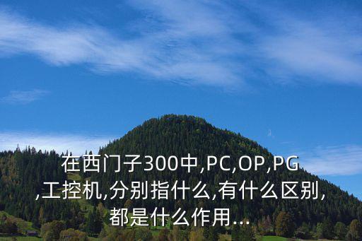 在西門子300中,PC,OP,PG,工控機,分別指什么,有什么區(qū)別,都是什么作用...