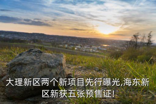 大理新區(qū)兩個(gè)新項(xiàng)目先行曝光,海東新區(qū)新獲五張預(yù)售證!