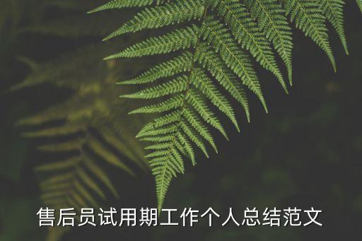 售后員試用期工作個(gè)人總結(jié)范文