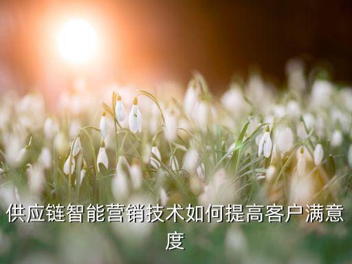 供應(yīng)鏈智能營銷技術(shù)如何提高客戶滿意度