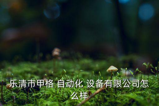 樂(lè)清市甲格 自動(dòng)化 設(shè)備有限公司怎么樣