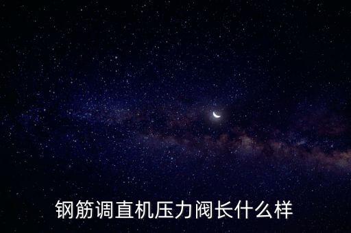 鋼筋調(diào)直機(jī)壓力閥長(zhǎng)什么樣