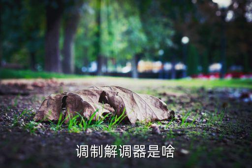 調(diào)制解調(diào)器，調(diào)制解調(diào)器是啥