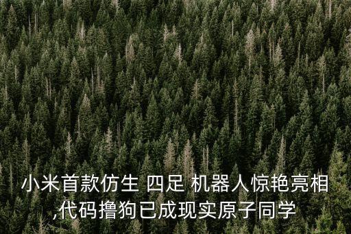 四足步行機(jī)器人控制程序,四足機(jī)器人控制算法 宇樹科技