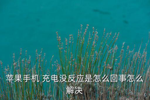 蘋果手機 充電沒反應是怎么回事怎么解決