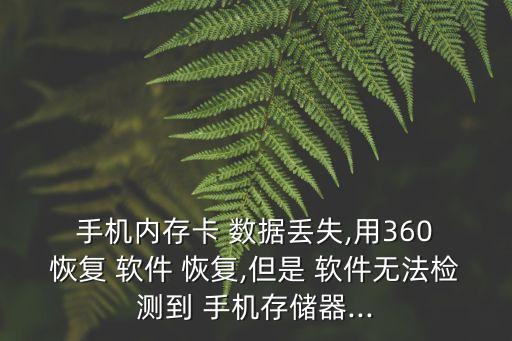  手機內(nèi)存卡 數(shù)據(jù)丟失,用360 恢復(fù) 軟件 恢復(fù),但是 軟件無法檢測到 手機存儲器...