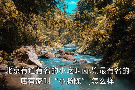 北京有道有名的小吃叫鹵煮,最有名的店有家叫“小腸陳”,怎么樣