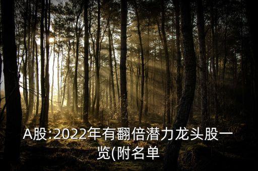 A股:2022年有翻倍潛力龍頭股一覽(附名單