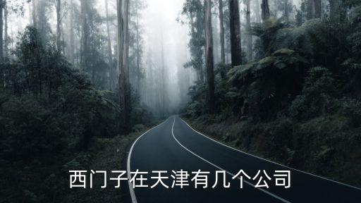 西門子在天津有幾個(gè)公司